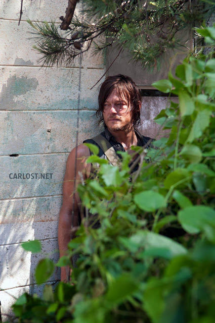 Daryl Dixon (Norman Reedus) en The Walking Dead 4.04 Indifference