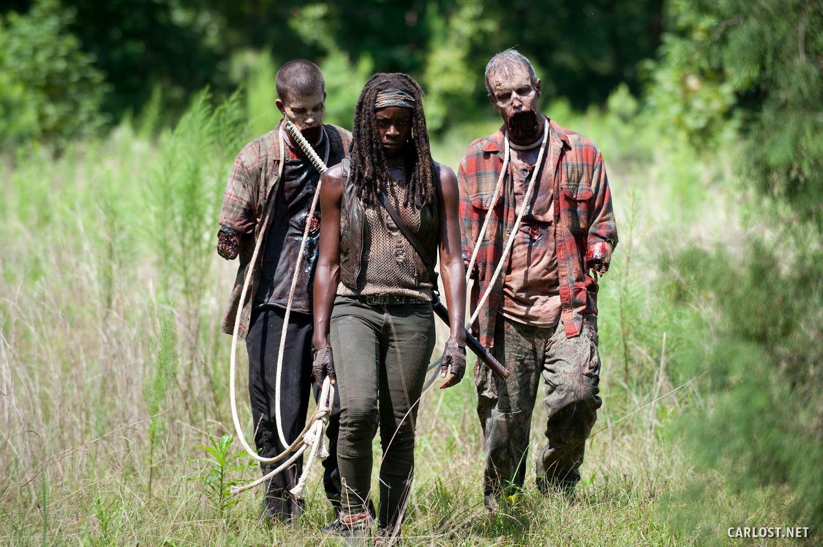 Michonne (Danai Gurira) y sus nuevas mascotas en The Walking Dead 4x09 After