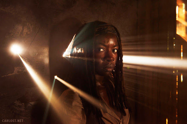 Michonne (Danai Gurira) - The Walking Dead 5