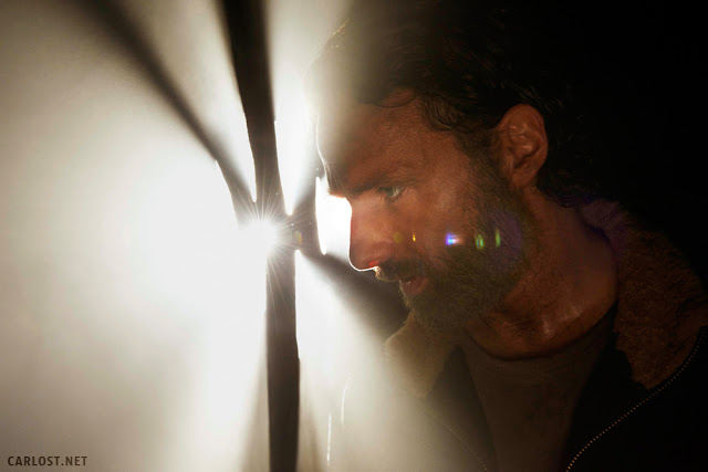 Rick Grimes (Andrew Lincoln) - The Walking Dead 5