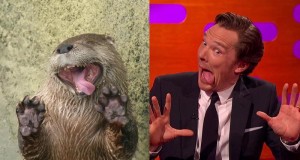 Benedict Cumberbatch imitando a una nutria