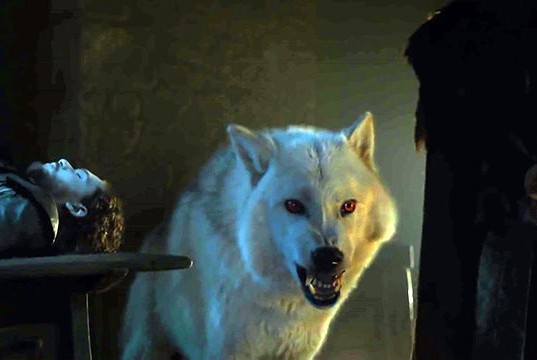 Jon Snow y Ghost en Game of Thrones 6x01 The Red Woman