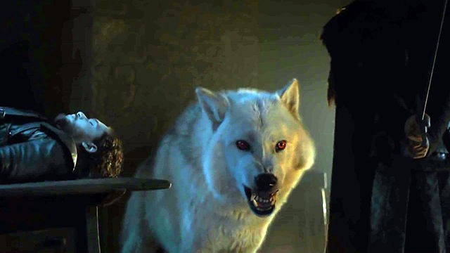 Jon Snow y Ghost en Game of Thrones 6x01 The Red Woman