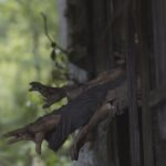 The Walking Dead 9x05: Promo subtitulada, fotos y sinopsis