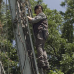 The Walking Dead 9x06 + 9x07 +9x08: Tráiler, fotos y sinopsis