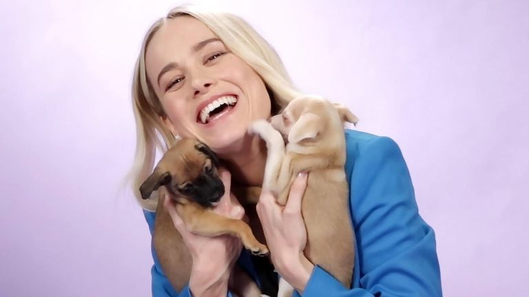 Capitana Marvel: Entrevista con Brie Larson jugando con cachorros