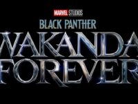 Black Panther Wakanda Forever (2022)