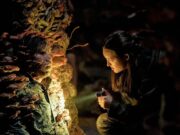 Bella Ramsey como Ellie en The Last Of Us Temporada 2 Episodio 5