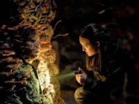 Bella Ramsey como Ellie en The Last Of Us Temporada 2 Episodio 5