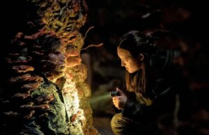 Bella Ramsey como Ellie en The Last Of Us Temporada 2 Episodio 5